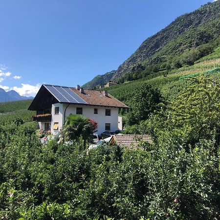Pixnerhof - Urlaub Am Biohof Lejlighed Castelbello Eksteriør billede