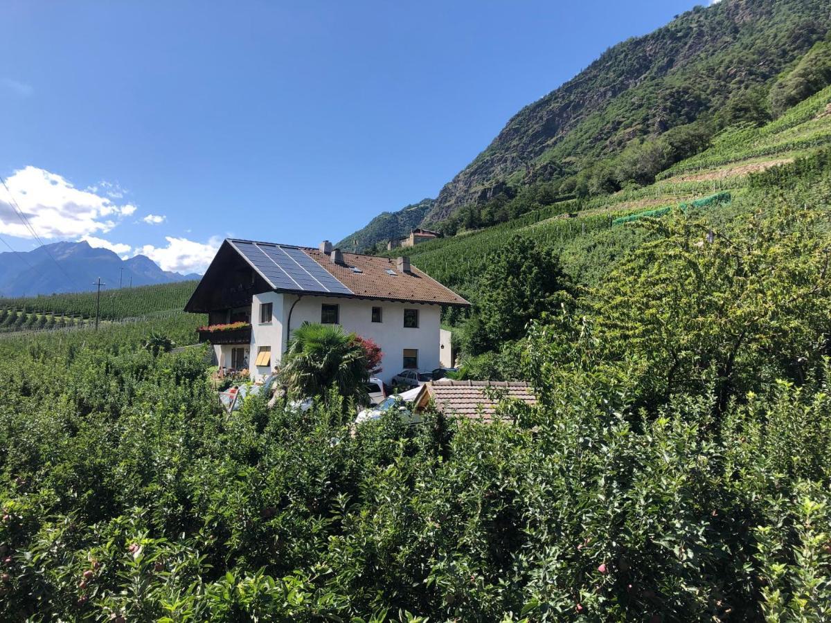 Pixnerhof - Urlaub Am Biohof Lejlighed Castelbello Eksteriør billede