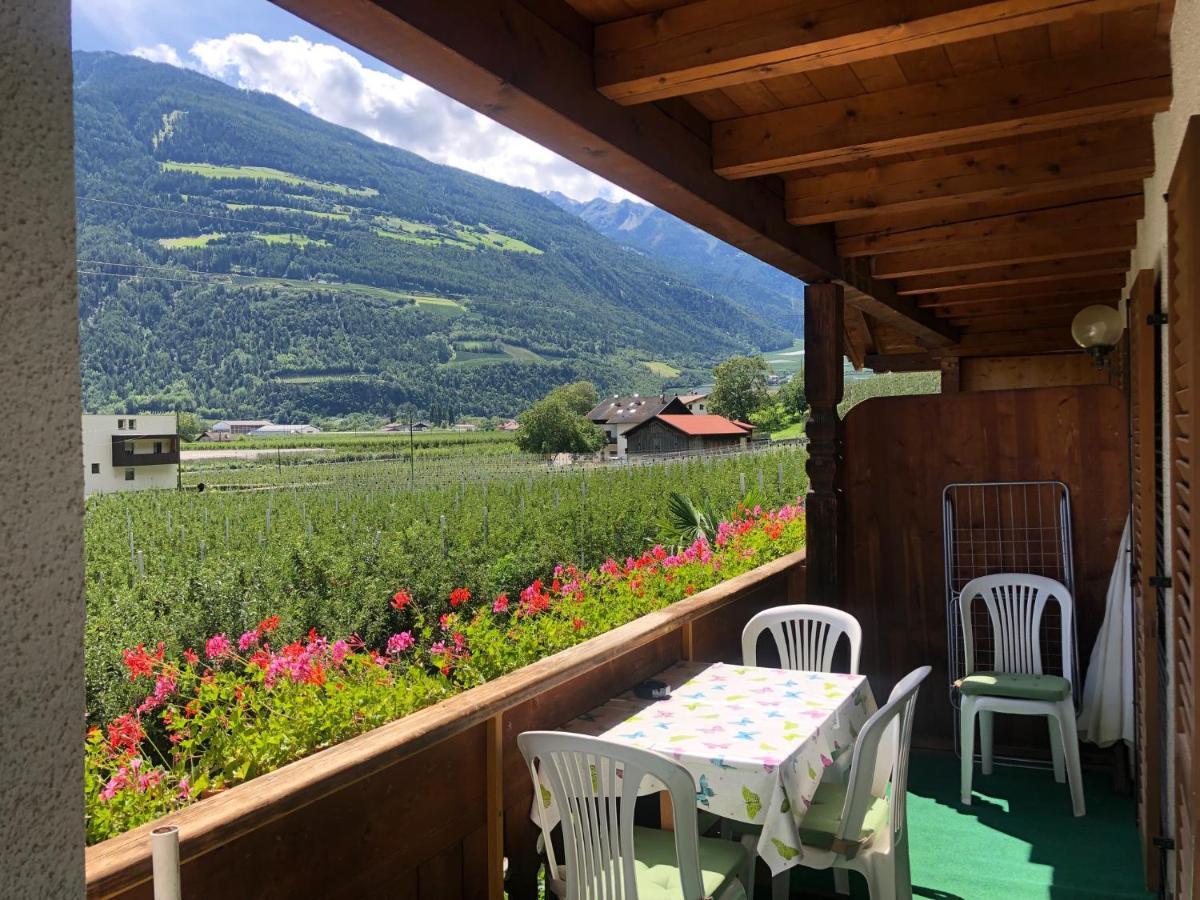 Pixnerhof - Urlaub Am Biohof Lejlighed Castelbello Eksteriør billede