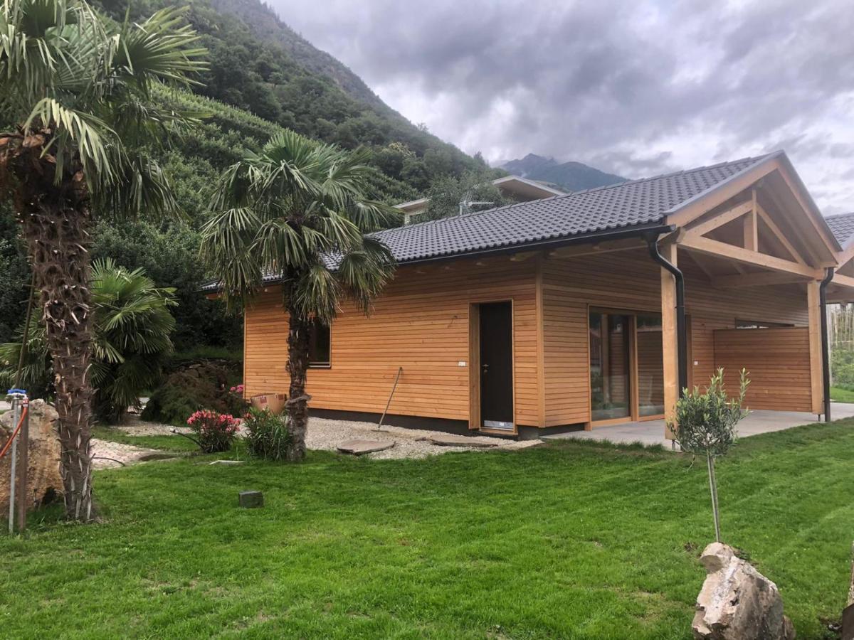 Pixnerhof - Urlaub Am Biohof Lejlighed Castelbello Eksteriør billede