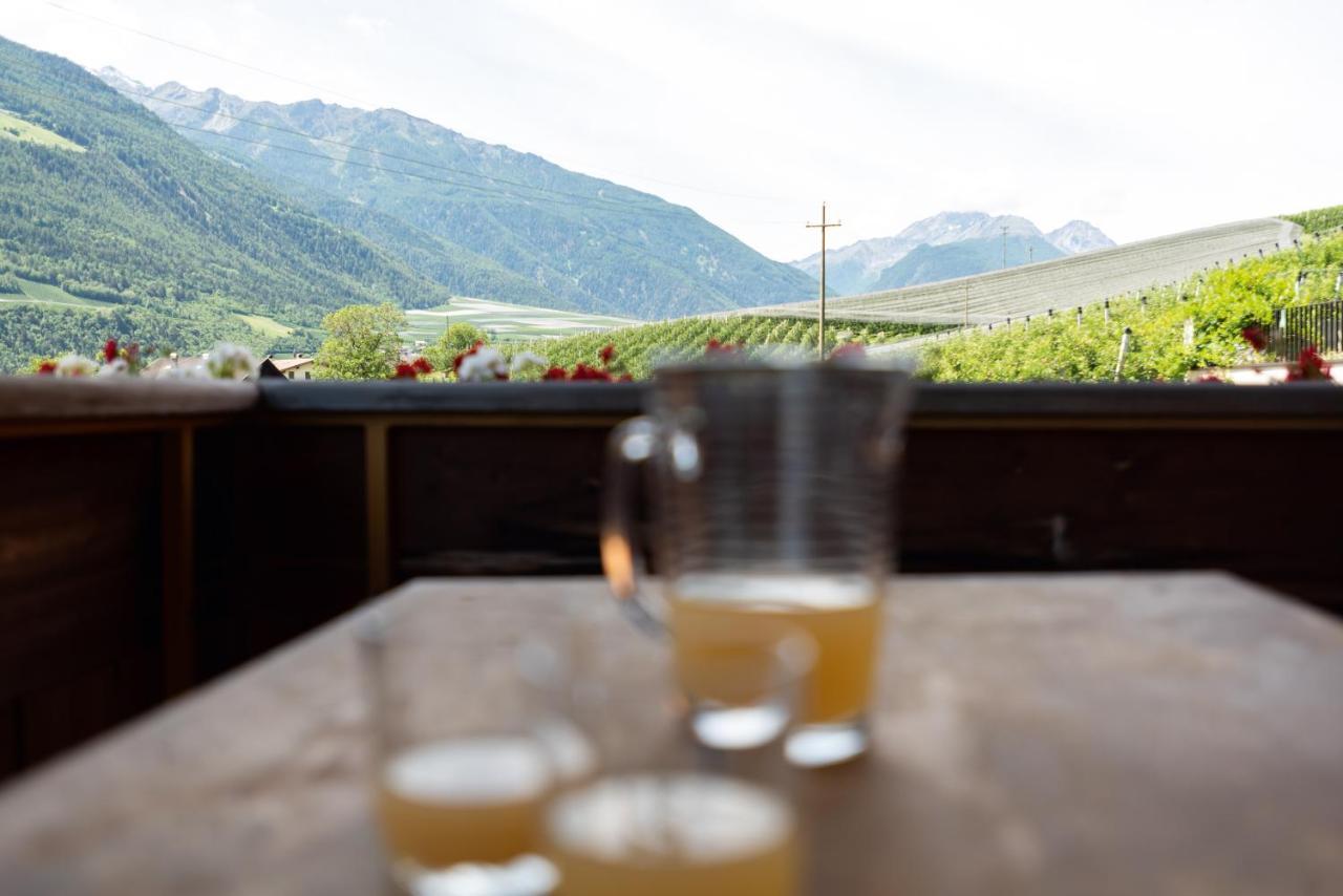 Pixnerhof - Urlaub Am Biohof Lejlighed Castelbello Eksteriør billede