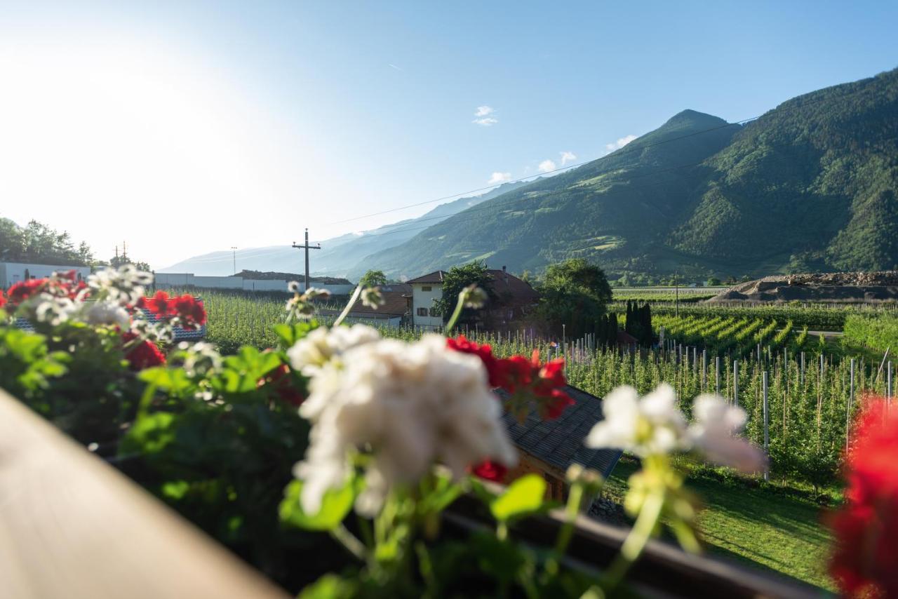 Pixnerhof - Urlaub Am Biohof Lejlighed Castelbello Eksteriør billede