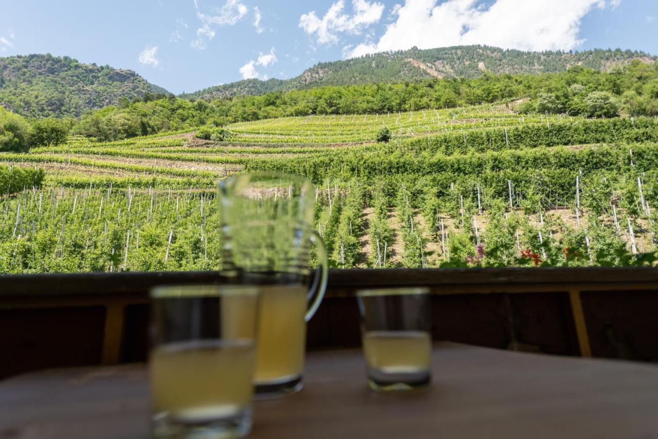 Pixnerhof - Urlaub Am Biohof Lejlighed Castelbello Eksteriør billede