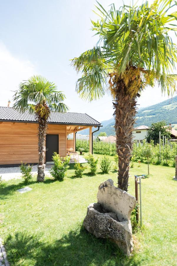 Pixnerhof - Urlaub Am Biohof Lejlighed Castelbello Eksteriør billede